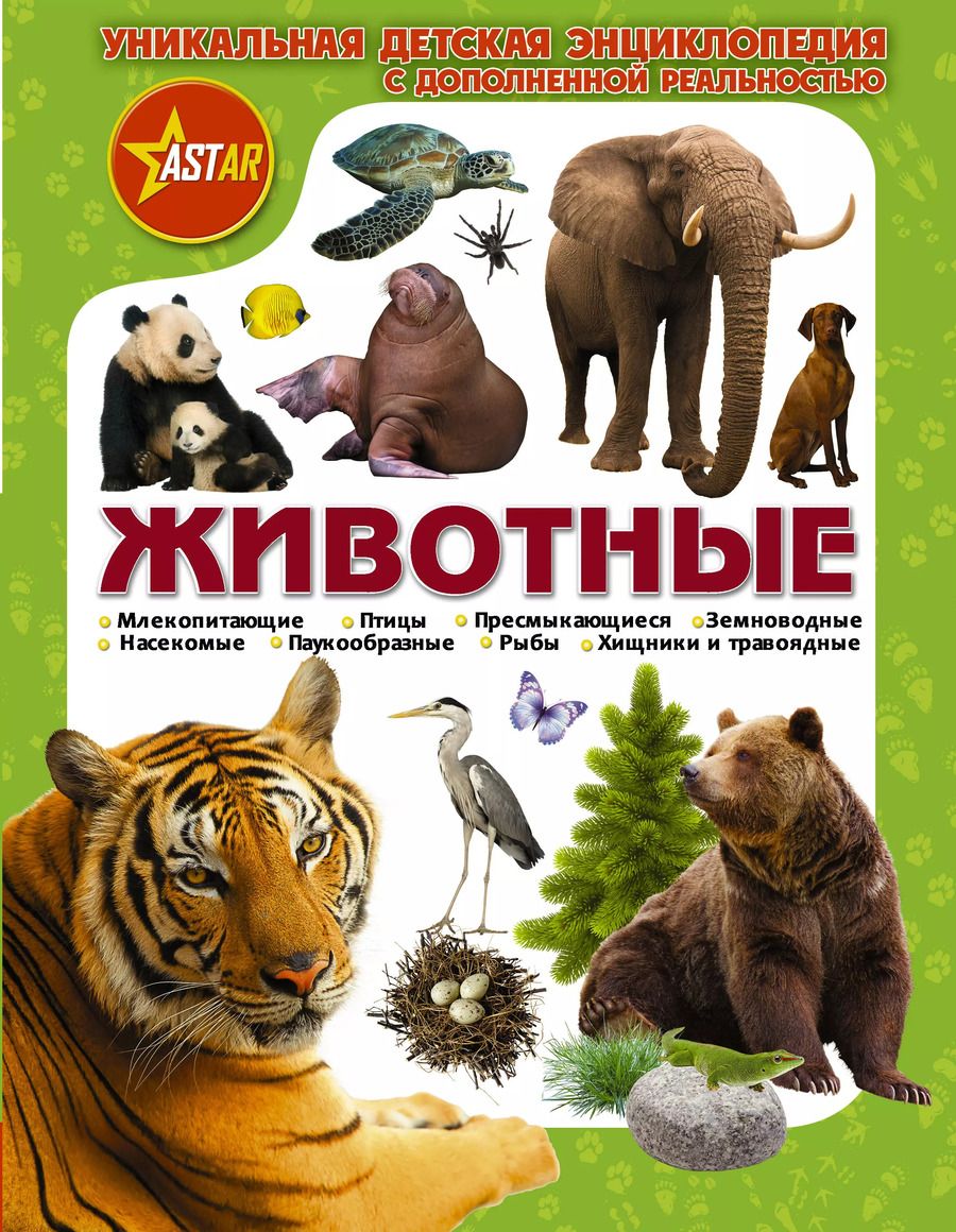 Обложка книги "Папуниди, Кошевар: Животные"