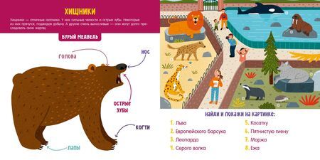 Фотография книги "Парамонова АннаЖивотные. Визуальный словарь"