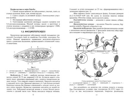 Фотография книги "Паразитарные болезни свиней"