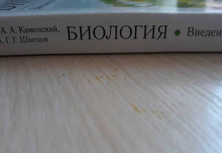 Фотография книги "Пасечник, Каменский, Криксунов: Биология. Введение в общую биологию. 9 класс. Учебное пособие"