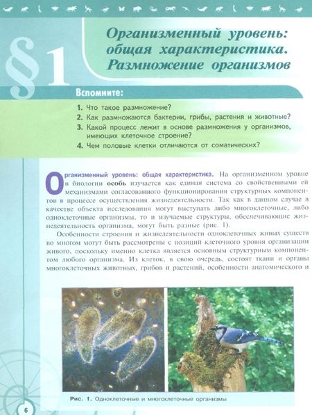 Фотография книги "Пасечник, Каменский, Швецов: Биология. 11 класс. Учебник. Базовый уровень. ФГОС"