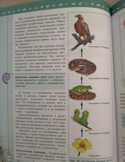 Фотография книги "Пасечник, Каменский, Швецов: Биология. 11 класс. Учебник. Базовый уровень. ФГОС"