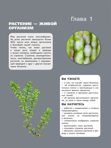 Фотография книги "Пасечник, Суматохин, Швецов: Биология. 6 класс. Базовый уровень. Учебник"