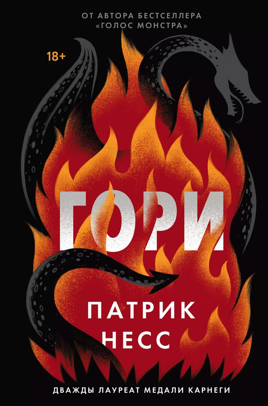 Обложка книги "Патрик Несс: Гори"