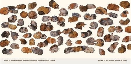 Фотография книги "Паули: Лучше всех?"