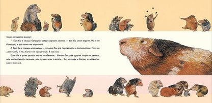 Фотография книги "Паули: Лучше всех?"