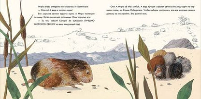 Фотография книги "Паули: Лучше всех?"