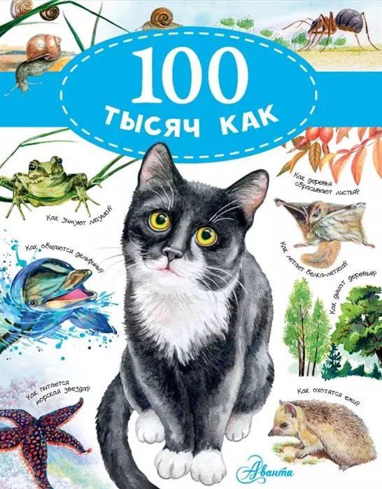 Обложка книги "Павел Бобков: 100 тысяч как"