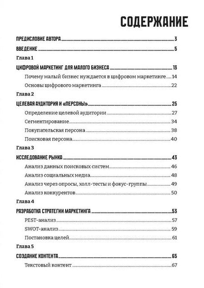 Фотография книги "Павел Карпов: Цифровой маркетинг для малого бизнеса"