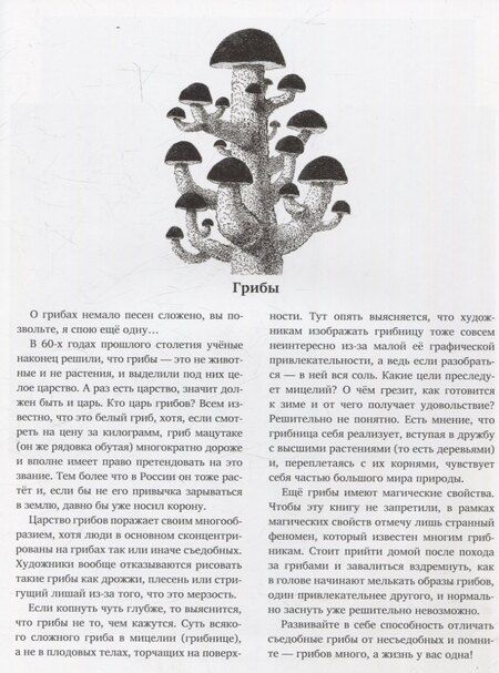 Фотография книги "Павел Назим: Природоведение (артбук художника)"