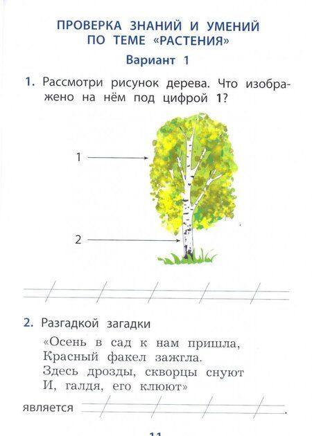 Фотография книги "Павел Скворцов: ВПР. Окружающий мир. 1 класс. Мониторинг успеваемости"