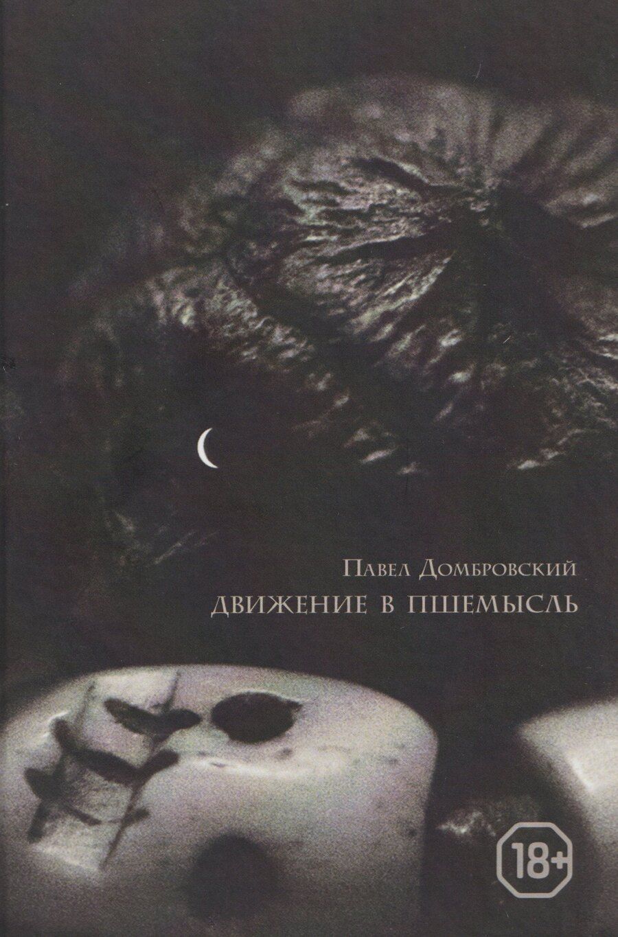 Обложка книги "Павел Владимирович: Движение в Пшемысль"
