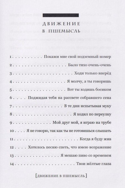 Фотография книги "Павел Владимирович: Движение в Пшемысль"