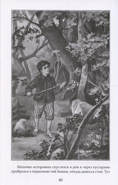 Фотография книги "Павел Засодимский: Заговор сов"