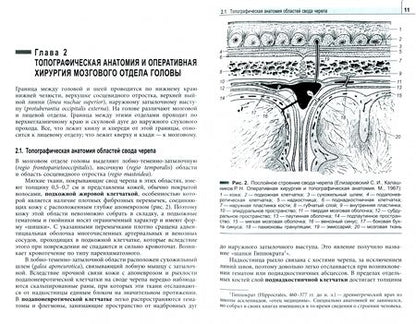 Фотография книги "Павлов, Виноградов, Жеребятьева: Клиническая анатомия головы и шеи. Учебник для студентов лечебного факультета"