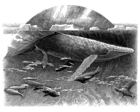 Фотография книги "Пейвер: Хроники темных времен. Книга 9. Волчья погибель"