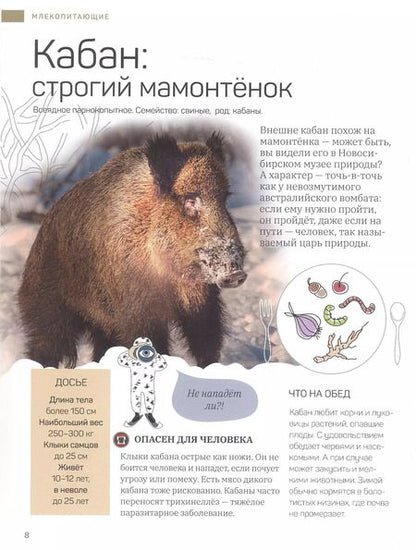 Фотография книги "Пельтек, Беланова, Кугаев: Дикие и симпатичные. 35 животных Новосибирской области, с которыми вам нужно познакомиться"