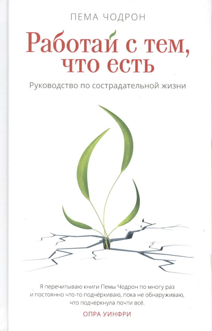 Обложка книги "Пема Чодрон: Работай с тем, что есть. Руководство по сострадательной жизни"