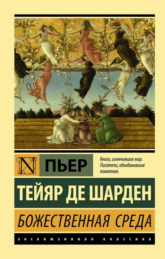 Обложка книги "Пьер Тейяр: Божественная среда"