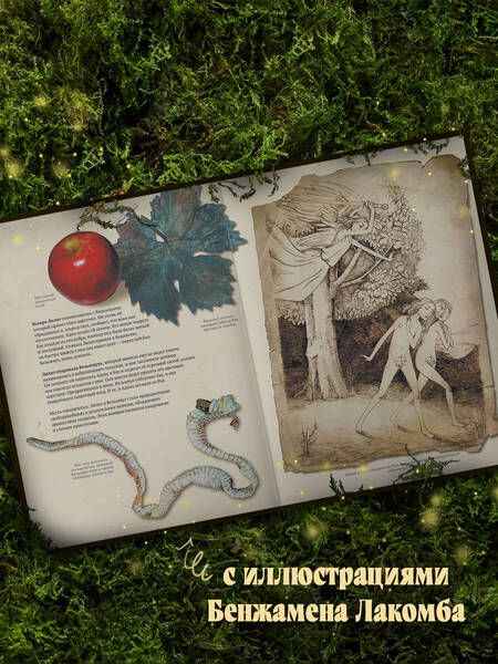 Фотография книги "Перез: Гримуар колдуний"