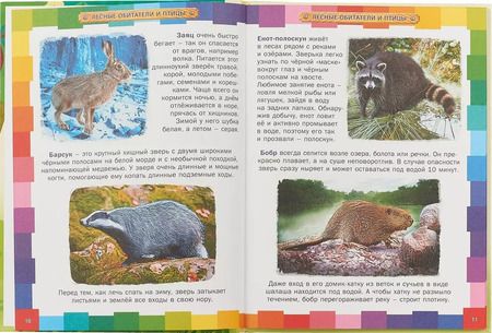 Фотография книги "Первая энциклопедия животных для детей"
