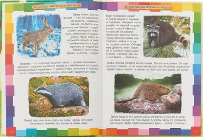 Фотография книги "Первая энциклопедия животных для детей"