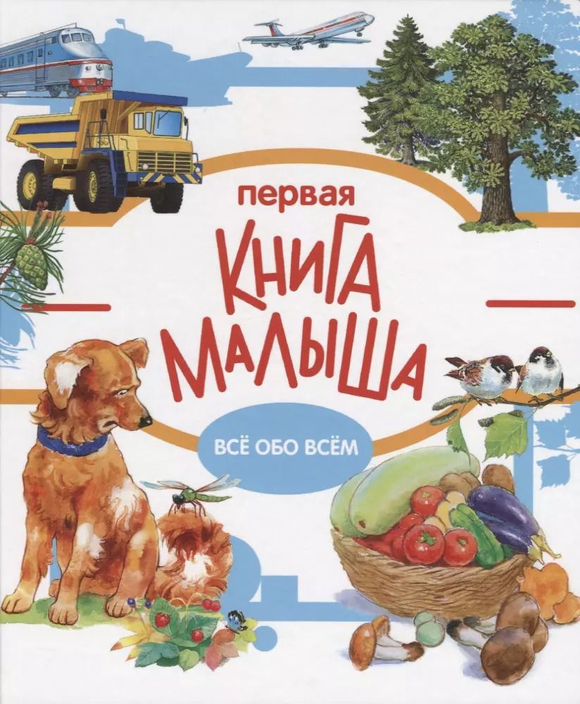 Обложка книги "Первая книга малыша. Все обо всем"