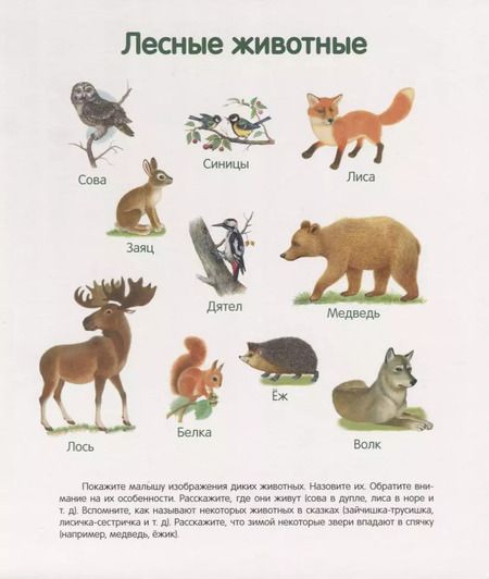Фотография книги "Первая книга малыша. Все обо всем"