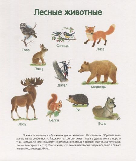 Фотография книги "Первая книга малыша. Все обо всем"