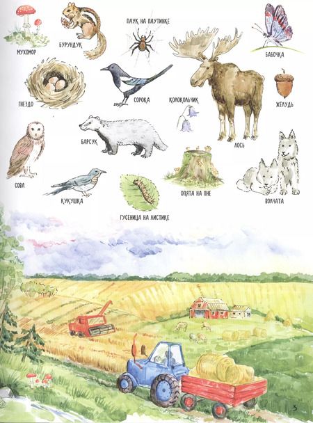 Фотография книги "Первая книга о природе и животных"