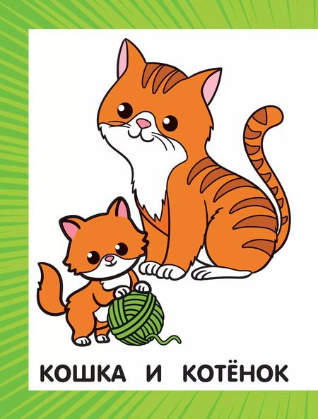 Фотография книги "Первая раскраска для девочек"