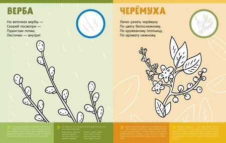 Фотография книги "Первая раскраска с наклейками. Времена года"