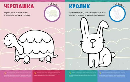Фотография книги "Первая раскраска с наклейками. Животные"
