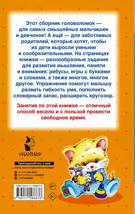 Фотография книги "Первые головоломки для детей"