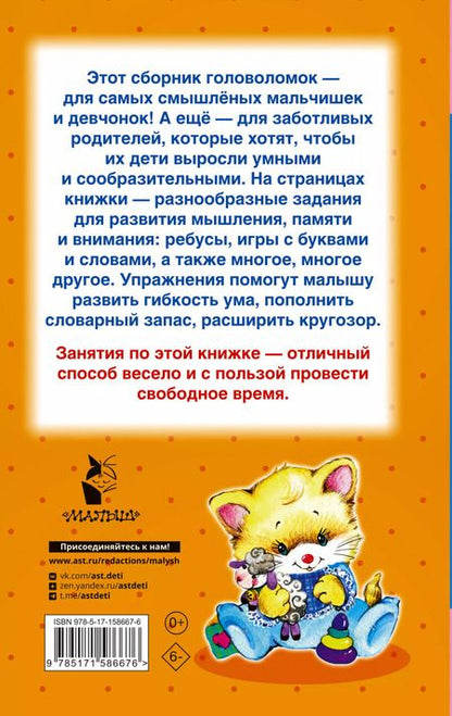 Фотография книги "Первые головоломки для детей"