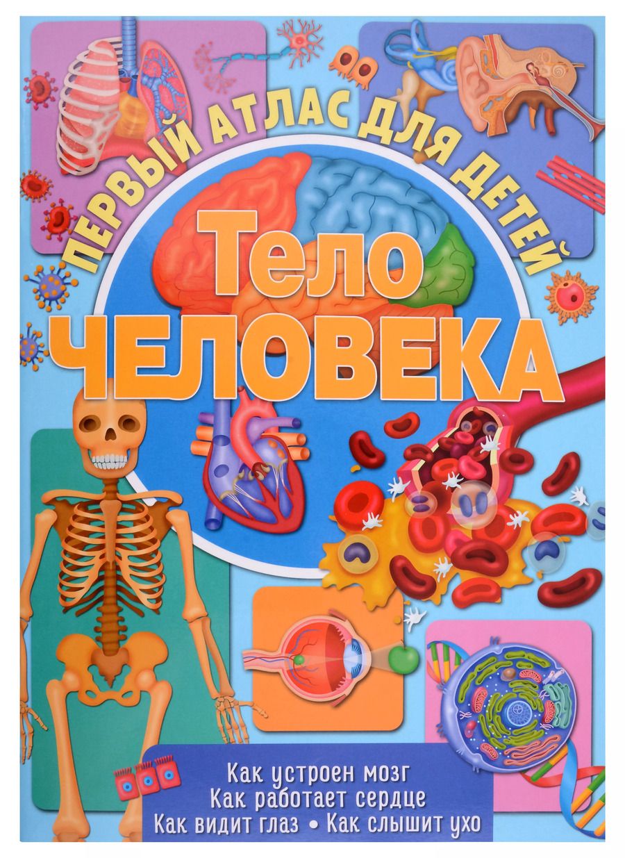 Обложка книги "Первый атлас для детей. Тело человека"