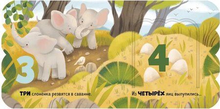 Фотография книги "Первый счёт. Книжка с окошками"