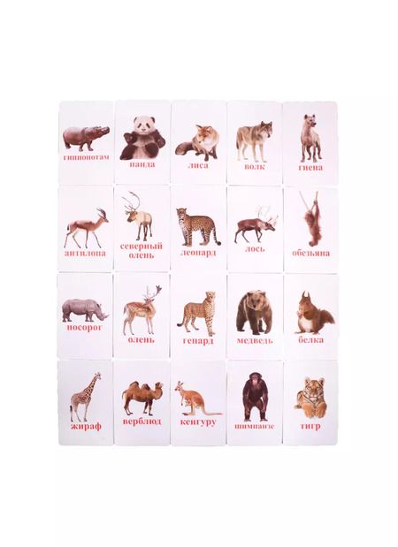 Фотография книги "Первый словарь в картинках "Дикие животные""