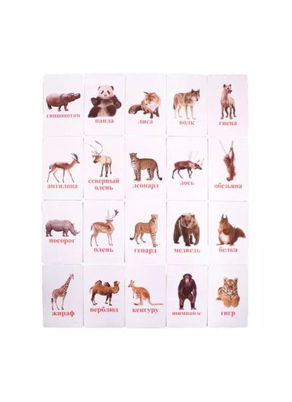 Фотография книги "Первый словарь в картинках "Дикие животные""