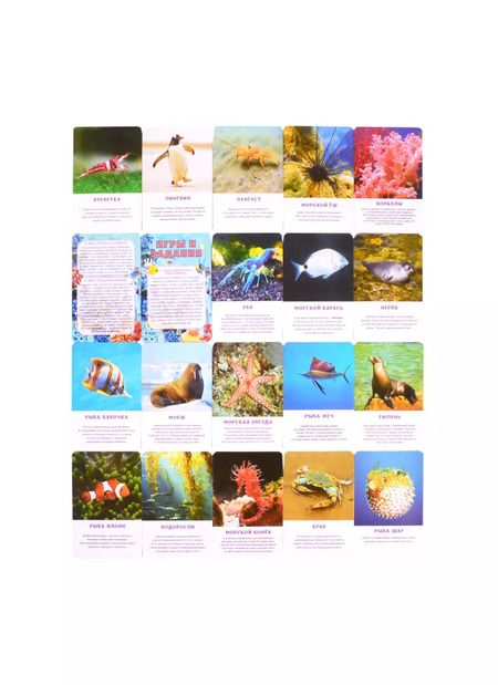 Фотография книги "Первый словарь в картинках "Морские обитатели""