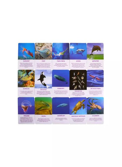 Фотография книги "Первый словарь в картинках "Морские обитатели""