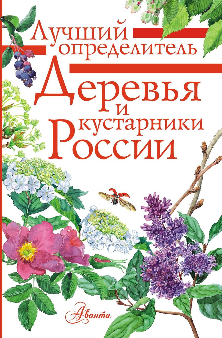 Обложка книги "Пескова: Деревья и кустарники России. Определитель"