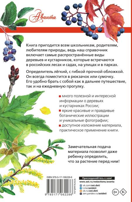 Фотография книги "Пескова: Деревья и кустарники России. Определитель"