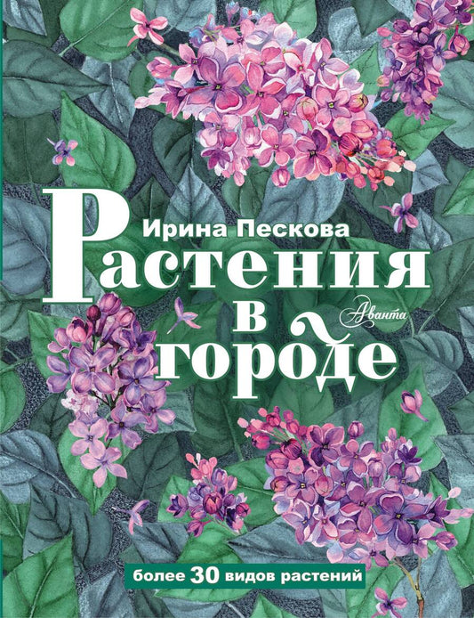 Обложка книги "Пескова: Растения в городе"