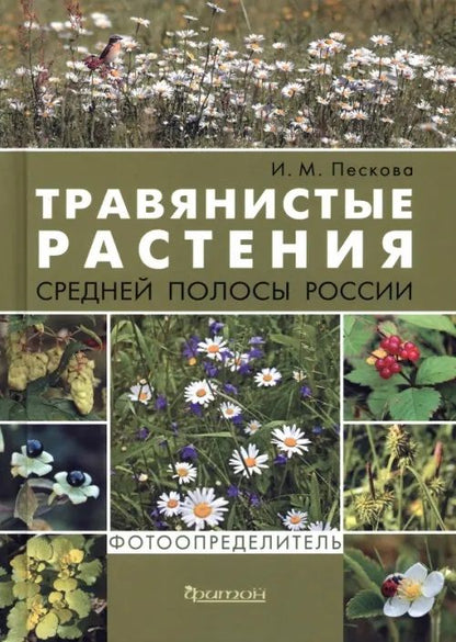 Обложка книги "Пескова: Травянистые растения средней полосы России. Фотоопределитель"