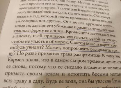 Фотография книги "Пэтчетт: Бельканто"