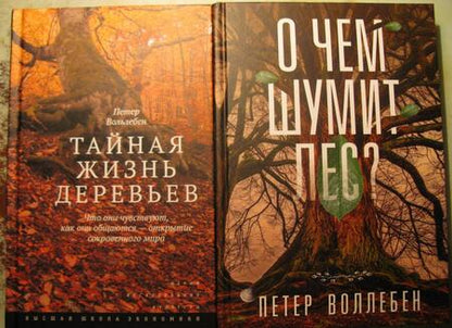 Фотография книги "Петер Воллебен: О чём шумит лес?"
