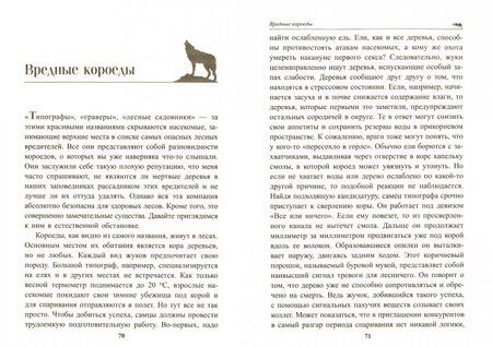 Фотография книги "Петер Воллебен: Тайные связи в природе"