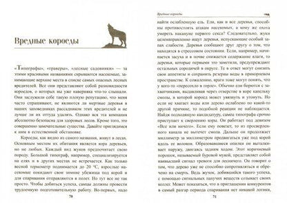 Фотография книги "Петер Воллебен: Тайные связи в природе"