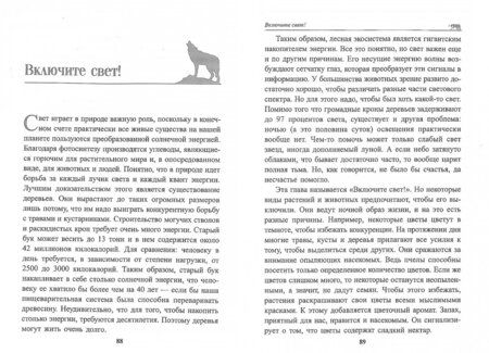 Фотография книги "Петер Воллебен: Тайные связи в природе"